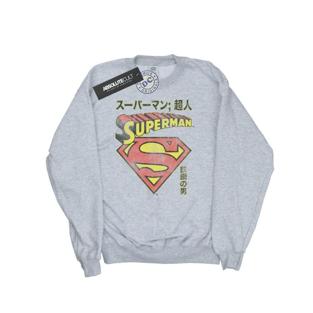DC Comics Mens Superman Shield Sweatshirt / Sports Grey